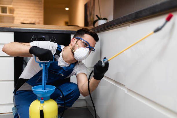 Best Best Pest Control Near Me  in Aho Falls, ID
