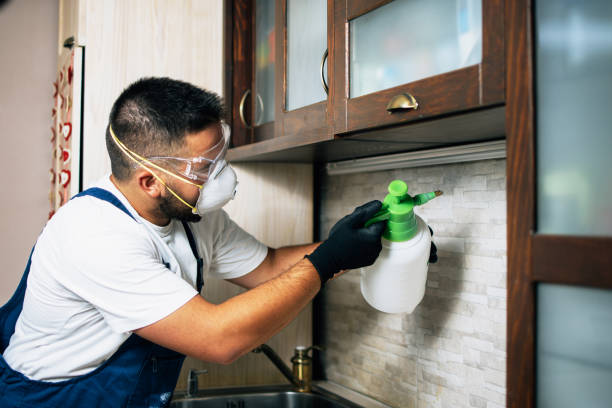 Best Emergency Pest Control  in Aho Falls, ID
