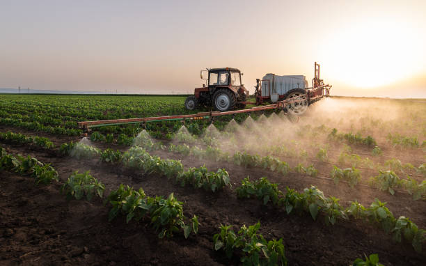 Best Mosquito Control Services  in Aho Falls, ID