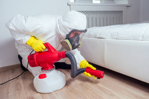 Best Termite Control Services  in Aho Falls, ID
