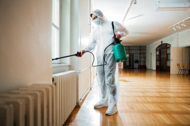 Best Pest Control Near Me  in Aho Falls, ID