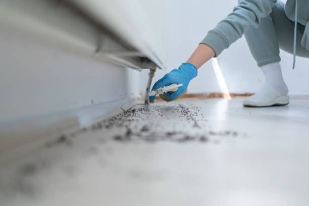 Best Pest Prevention Services  in Aho Falls, ID